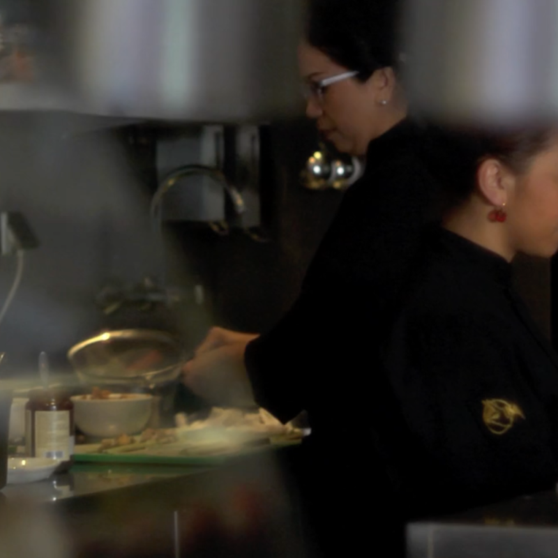 kantjil_de_tijger_infocus_producties