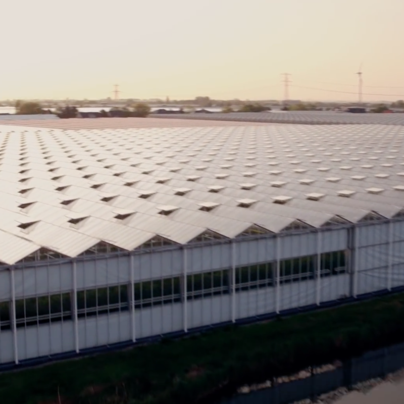 prominent_general_electric