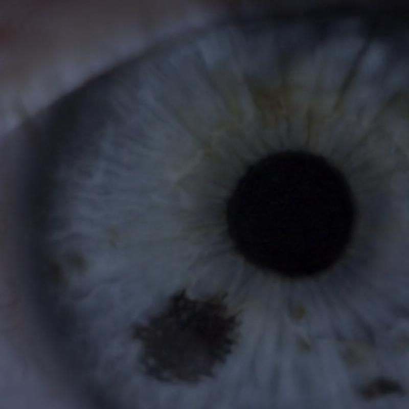 the_last_man_infocus_producties