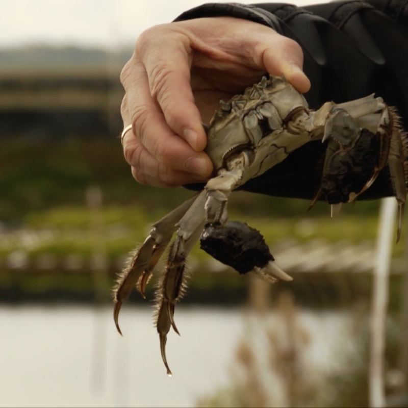 Unie van Waterschappen